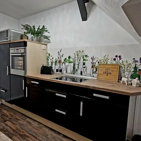 Daire Harzperle 41m²